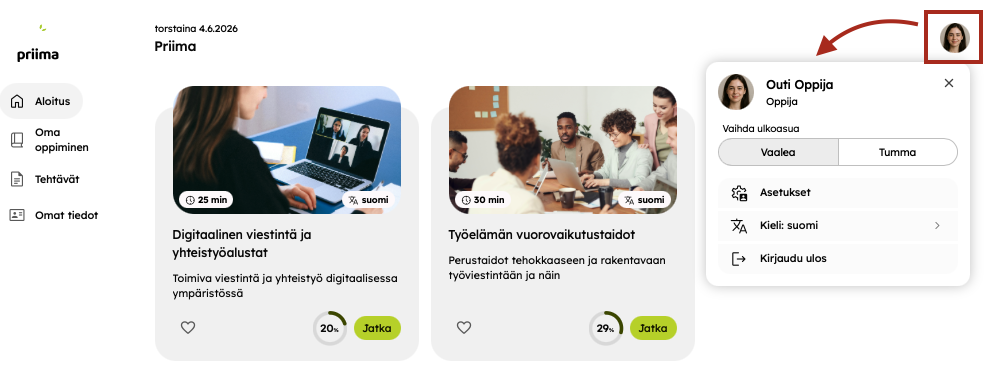Kuvassa profilivalikon sisältö eli ulkoasuteema, asetukset, kielivalinta ja uloskirjautuminen.